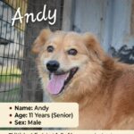 Meet Andy