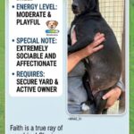 Meet Faith