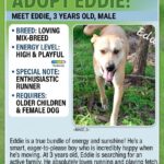 Meet Eddie
