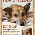 Meet Kayla