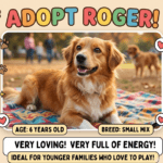 Meet Roger