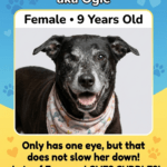 Meet Angela