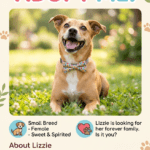 Meet Lizzie